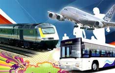 Thomas Cook India Ltd (Travel Division)
